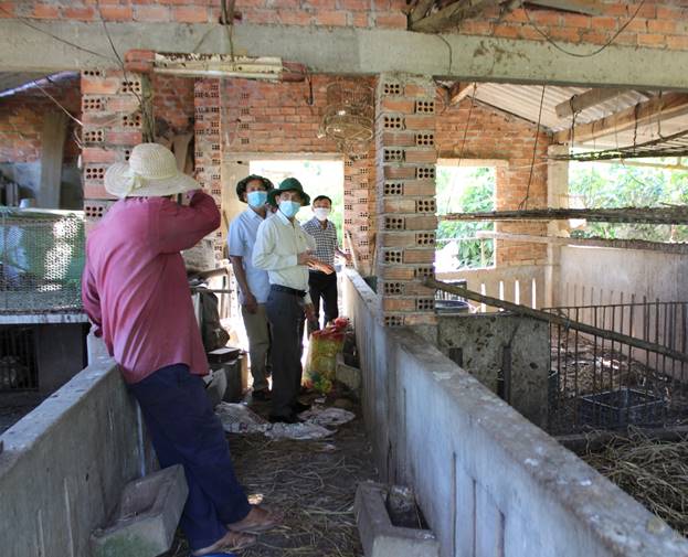 Cần chủ động kiểm soát dịch bệnh trên đàn gia súc